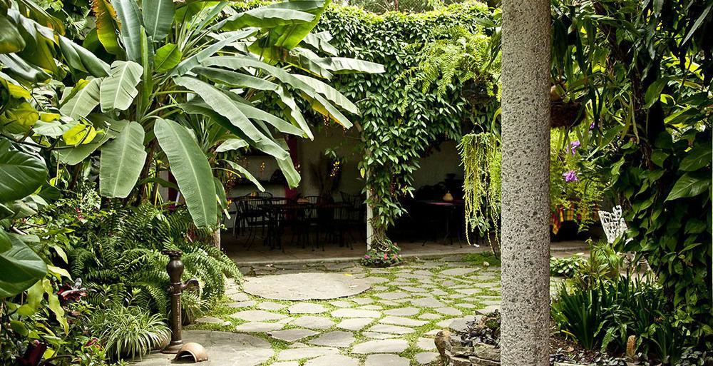 Hotel Arbol De Fuego San Salvador Luaran gambar