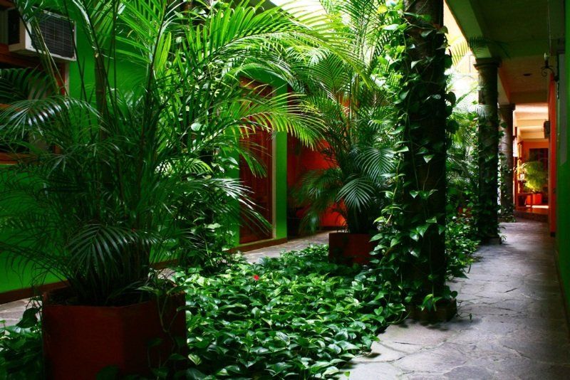 Hotel Arbol De Fuego San Salvador Luaran gambar