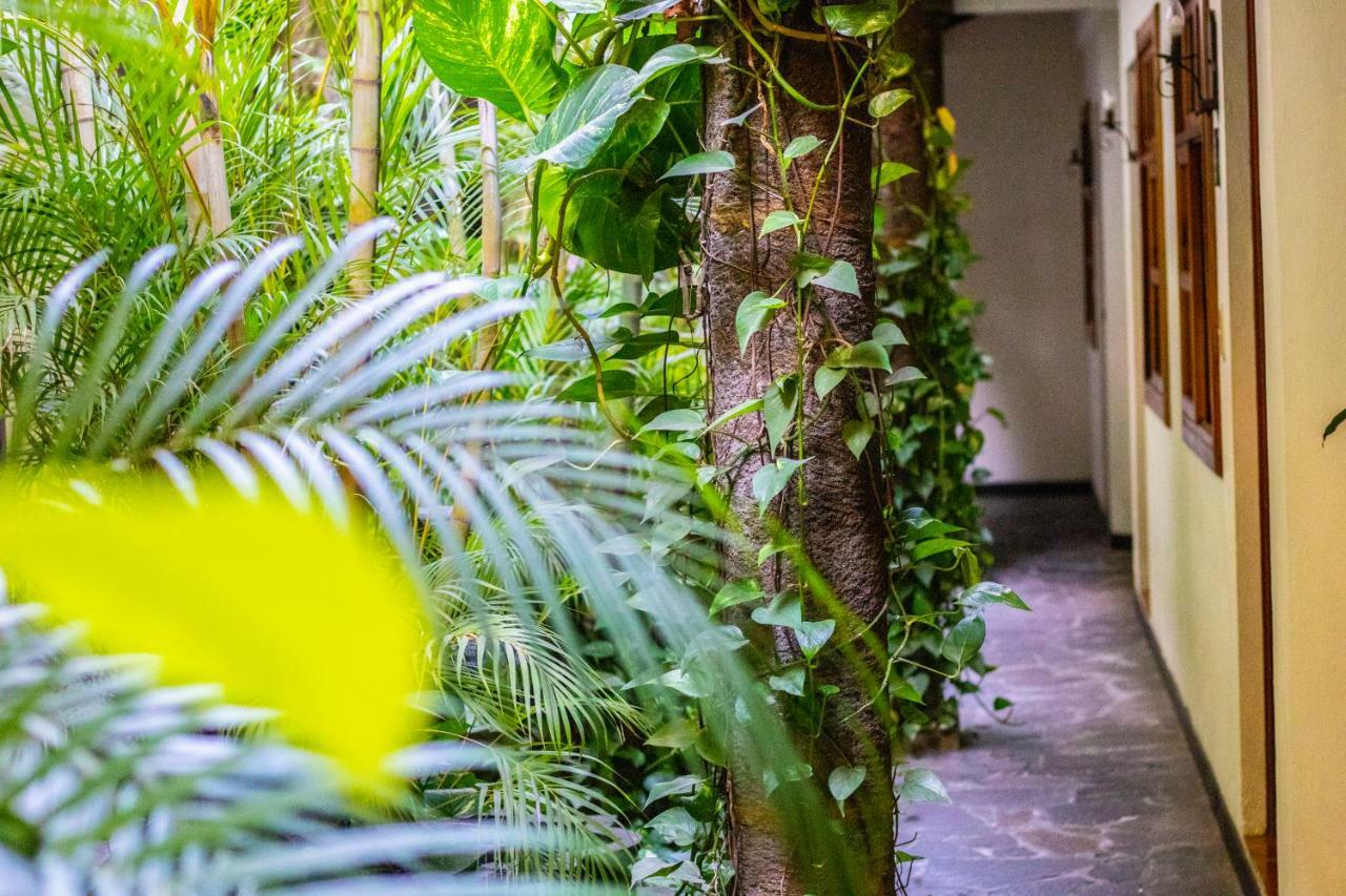 Hotel Arbol De Fuego San Salvador Luaran gambar