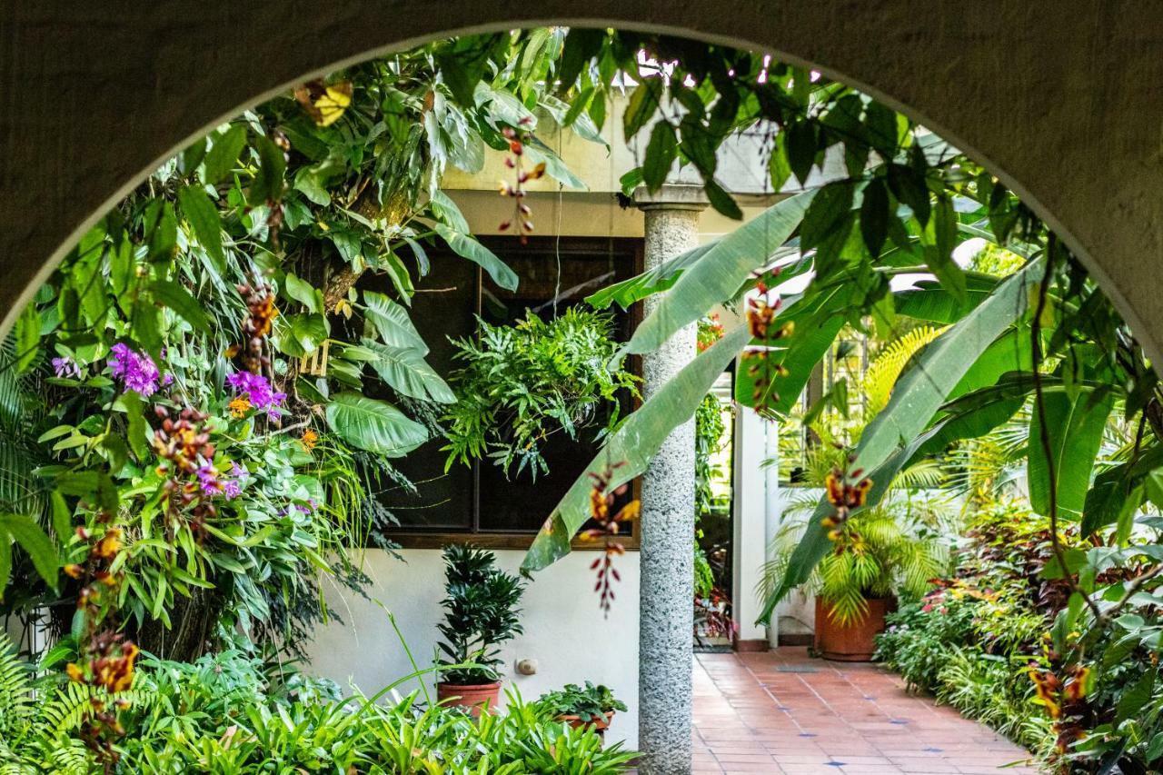Hotel Arbol De Fuego San Salvador Luaran gambar