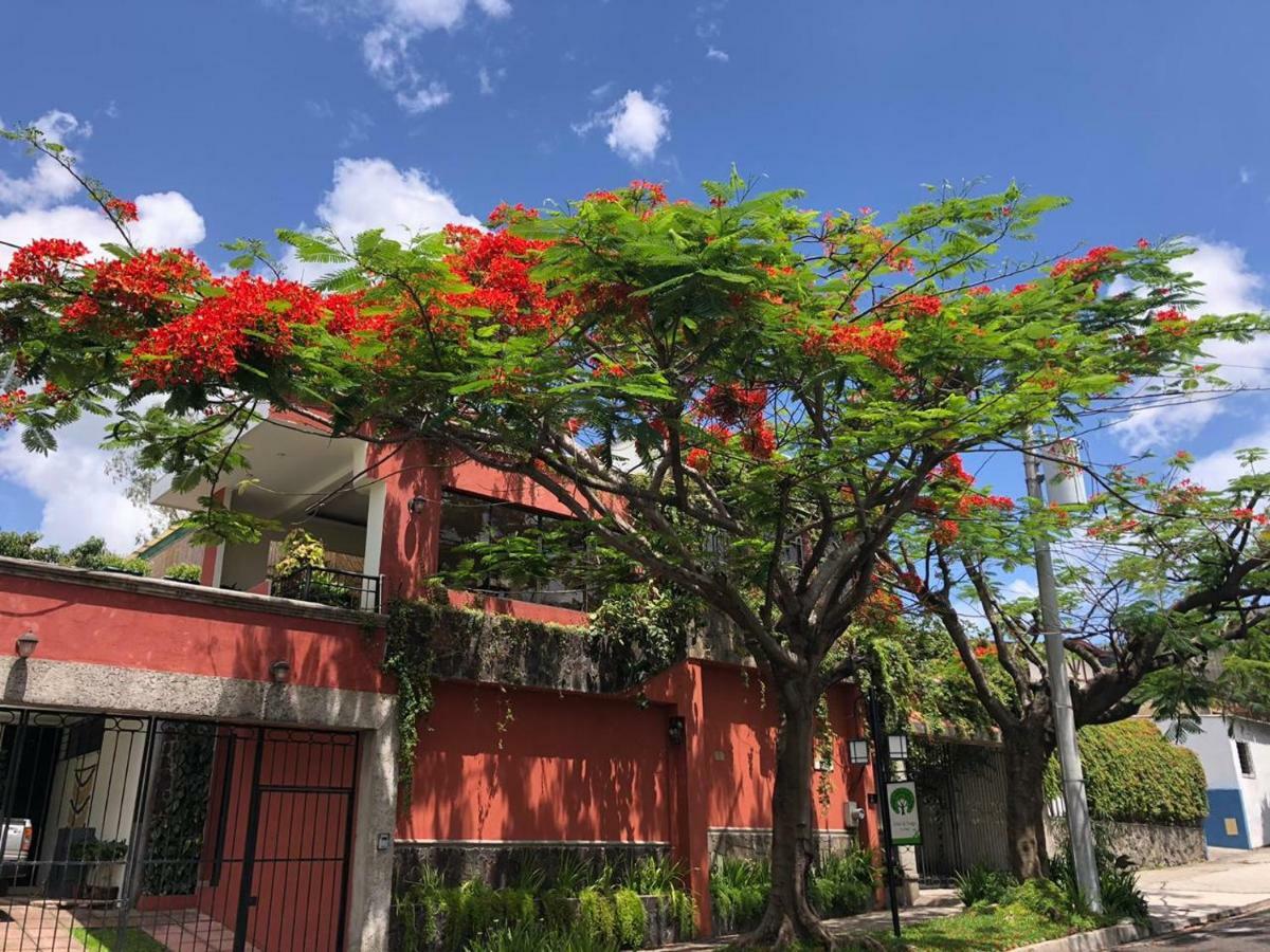 Hotel Arbol De Fuego San Salvador Luaran gambar